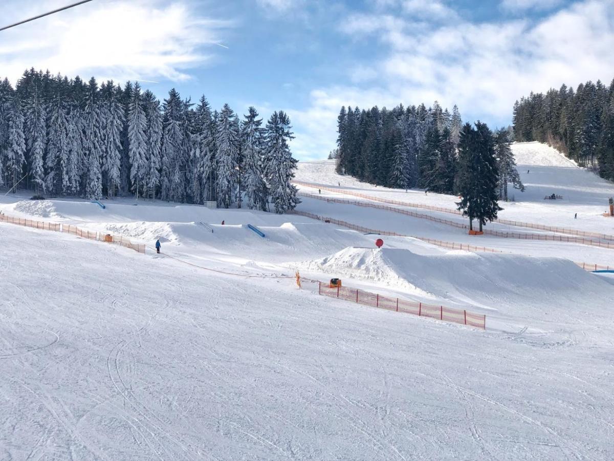 Hotel Fontana Lipno Černá v Pošumaví Exterior foto